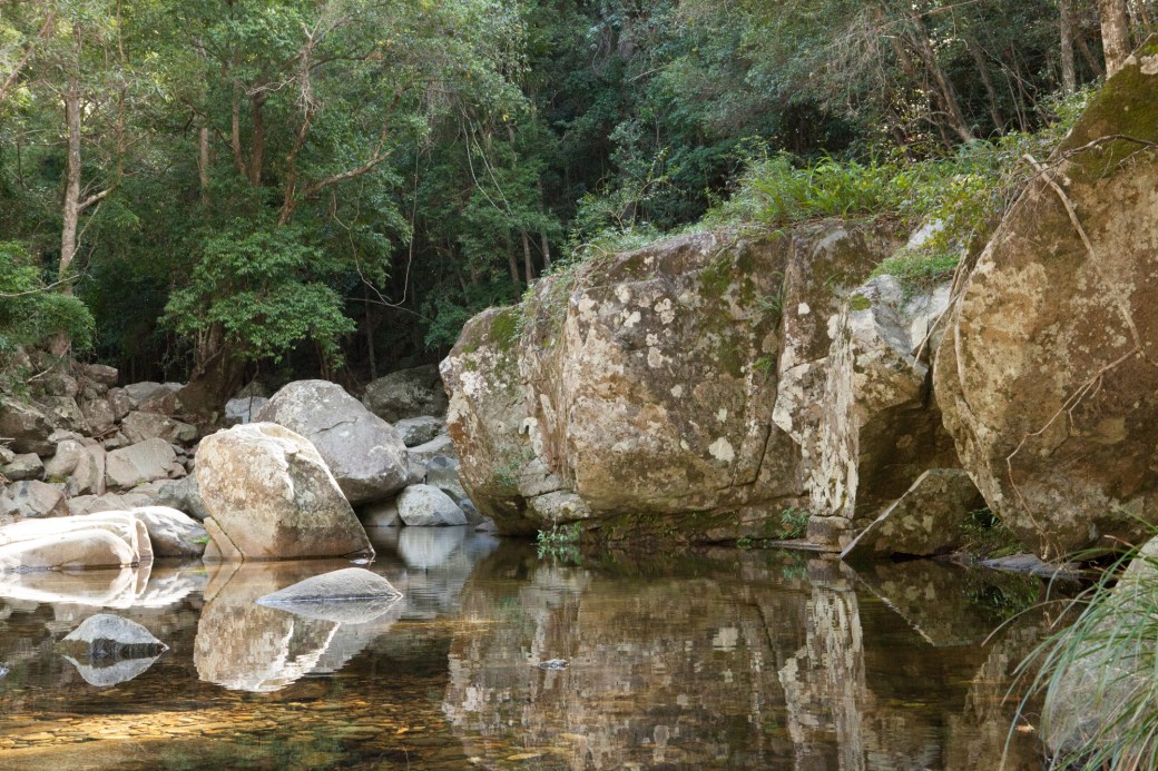 cedar creek-1 copy 3